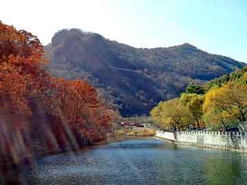 新澳天天开奖资料大全旅游团，泾川seo培训